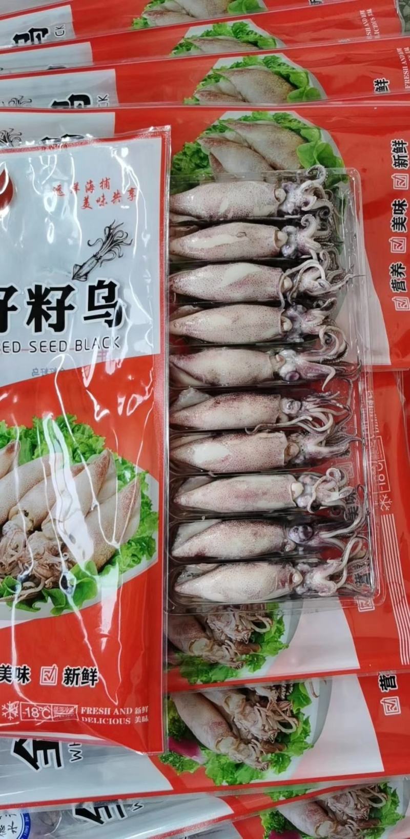 大籽乌海兔笔管鱼冷冻冻食海鲜中秋礼品