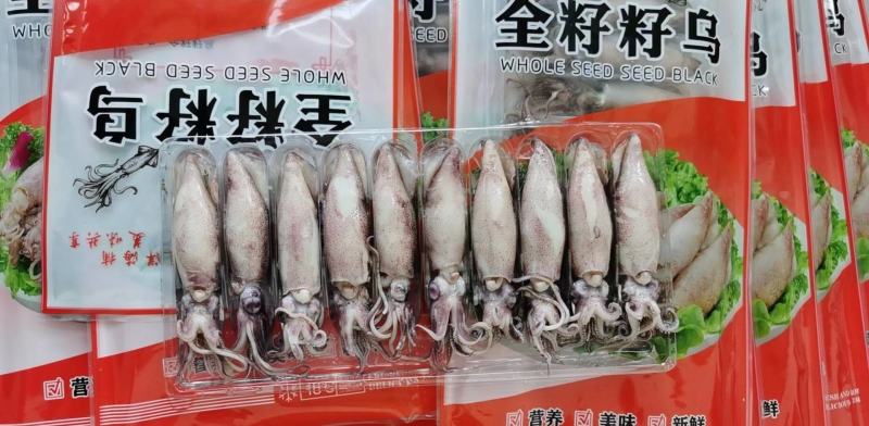 大籽乌海兔笔管鱼冷冻冻食海鲜中秋礼品