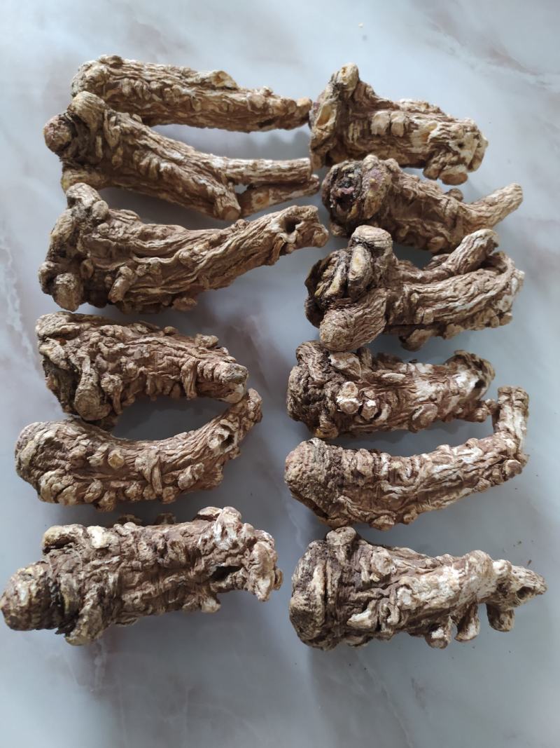 甘肃岷县当归头原色原味，高含量地道货源，原产地精选高品质