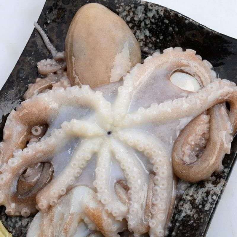 八爪鱼长腿八爪鱼鲜活新鲜冷冻爆头大章鱼生鲜软足类海鲜水产