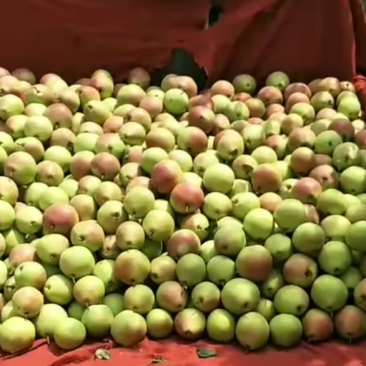 陕西嗄啦梨苹果香甜可口
