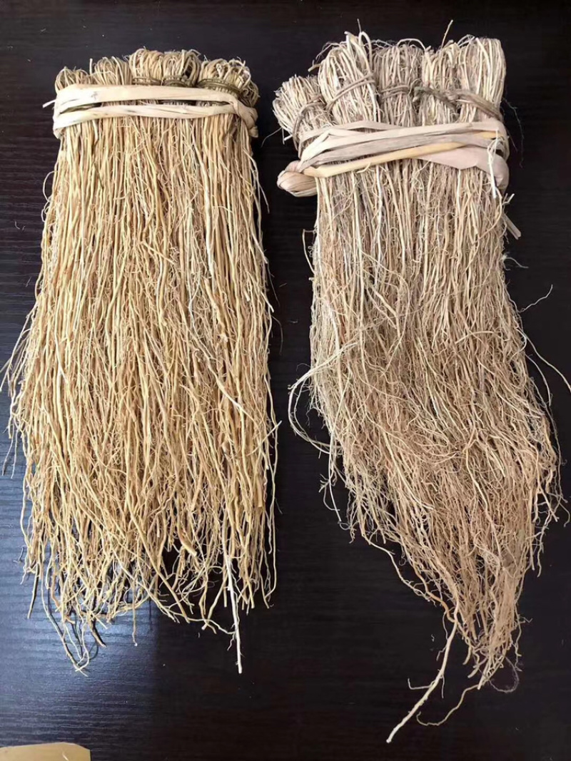 粤北山区韶关龙须根又名养肝草，煲汤食材
