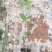 金花茶树苗，金花茶苗，防城金花茶，福建龙岩永福基地直销