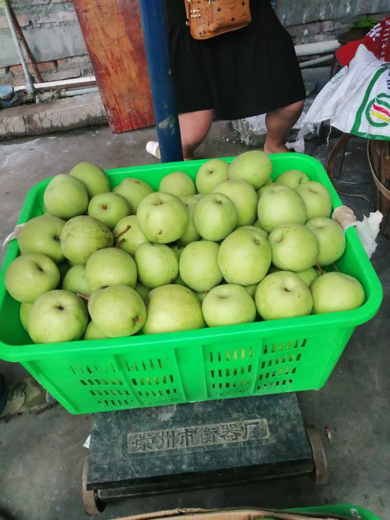 汉源水果，我是专业的代办，欢迎大家关注！！！！！！！！！