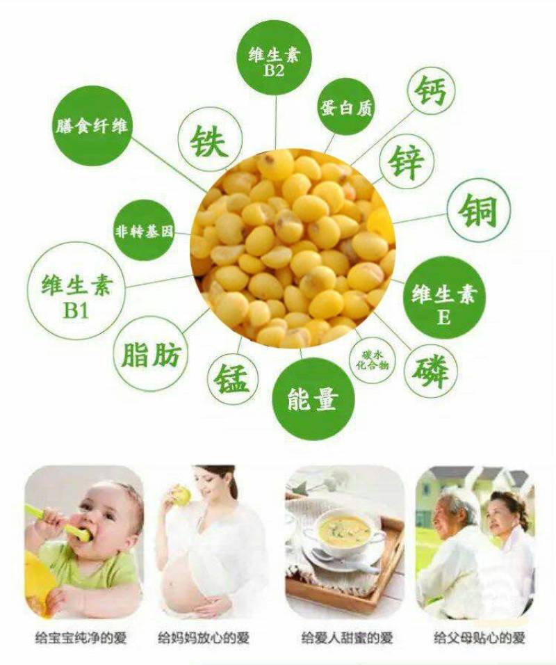 大黄米东北大黄米粽子专用糯黄米营养大黄米包邮