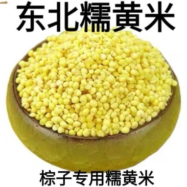 大黄米东北大黄米粽子专用糯黄米营养大黄米包邮