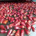 辣辣椒生产厂家，大量供货家乡特产美食特产！一手货源