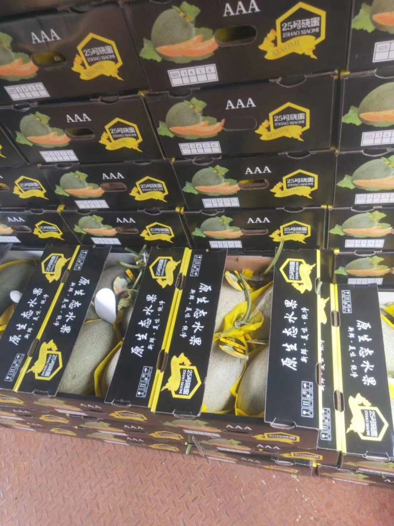 西州蜜瓜大棚吊瓜，花纹好，甜度高，可视频看货
