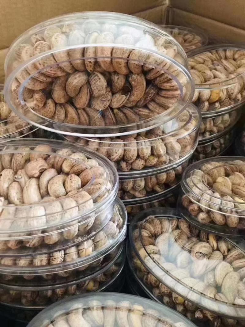 特级盐焗腰果，颗颗饱满！