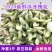 冰冻野生洋槐花新鲜干野生蔬菜当季时令杨槐花野菜干的