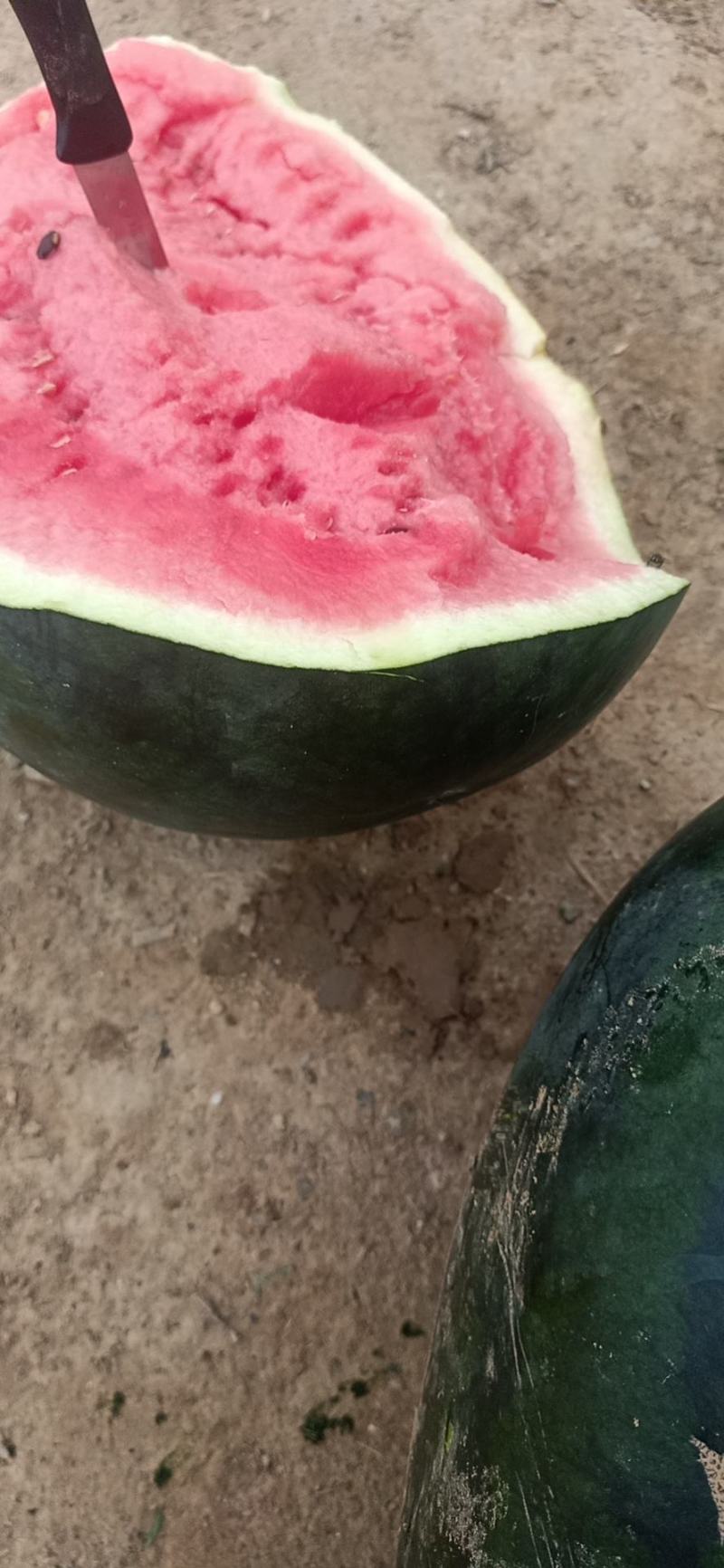 甜王西瓜无籽瓜黑无籽瓜