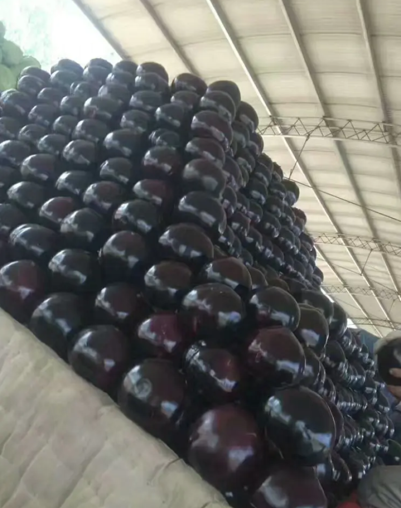 精品优质秋茄子，色泽油黑鲜亮，个头均匀，