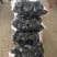 精品优质秋茄子，色泽油黑鲜亮，个头均匀，