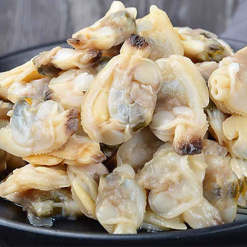 鲜活花甲花蛤无沙大个花甲连云港特产鲜活冷链发货
