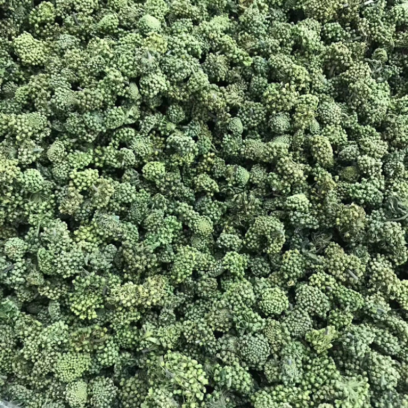 三七花2020年新货三七花支持一件代发