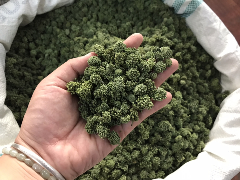 三七花2020年新货三七花支持一件代发