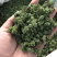 三七花2020年新货三七花支持一件代发