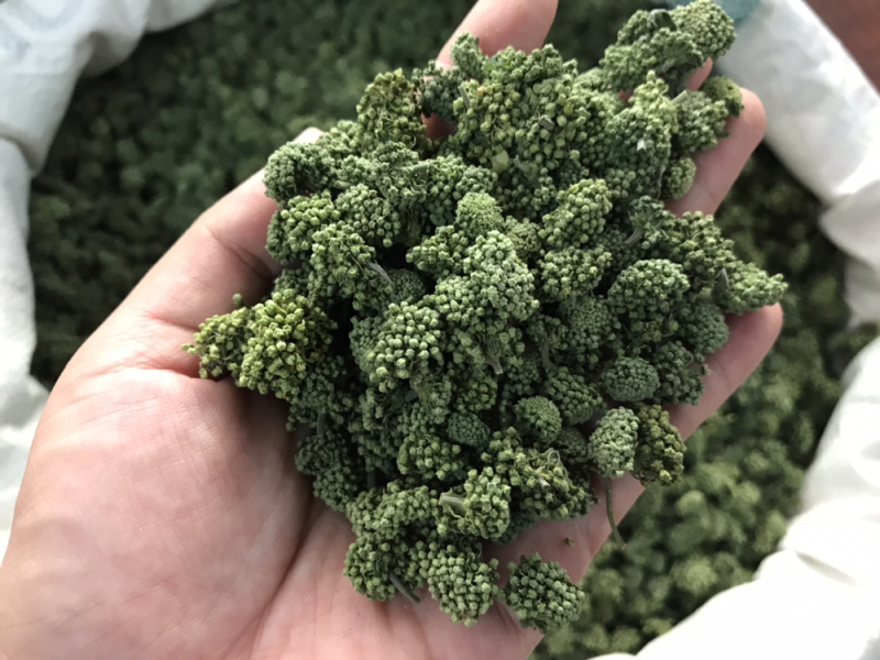 三七花2020年新货三七花支持一件代发