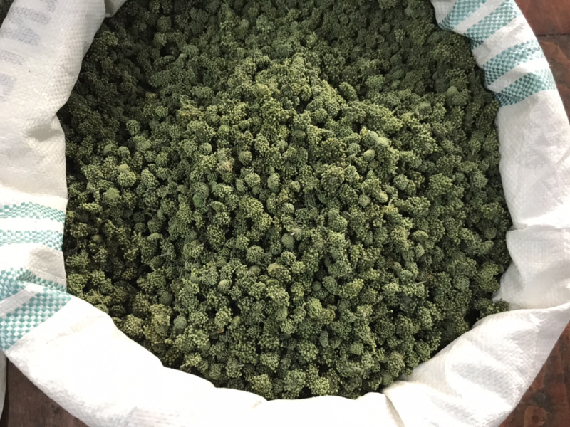 三七花2020年新货三七花支持一件代发