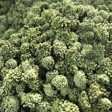 三七花2020年新货三七花支持一件代发