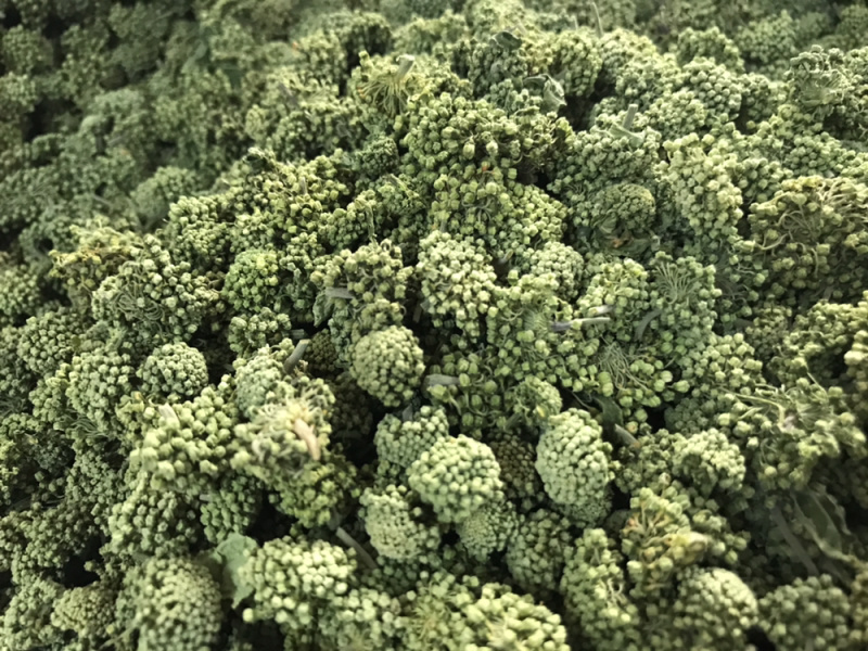 三七花2020年新货三七花支持一件代发
