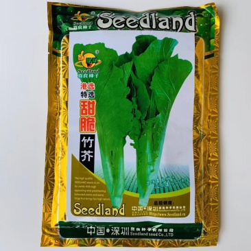 芥菜种子脆甜竹菜种子秋季热播品种品种种子