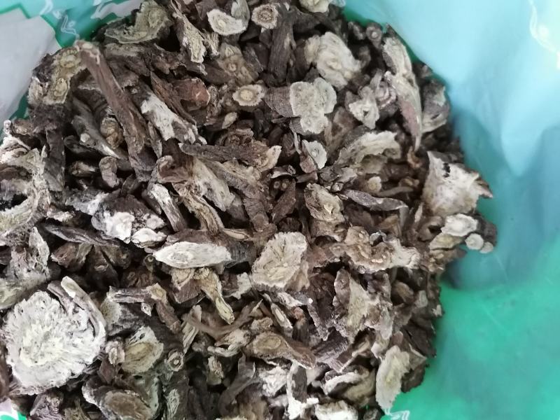 蒲公英根各种中药材批发质量保证产地直销药用