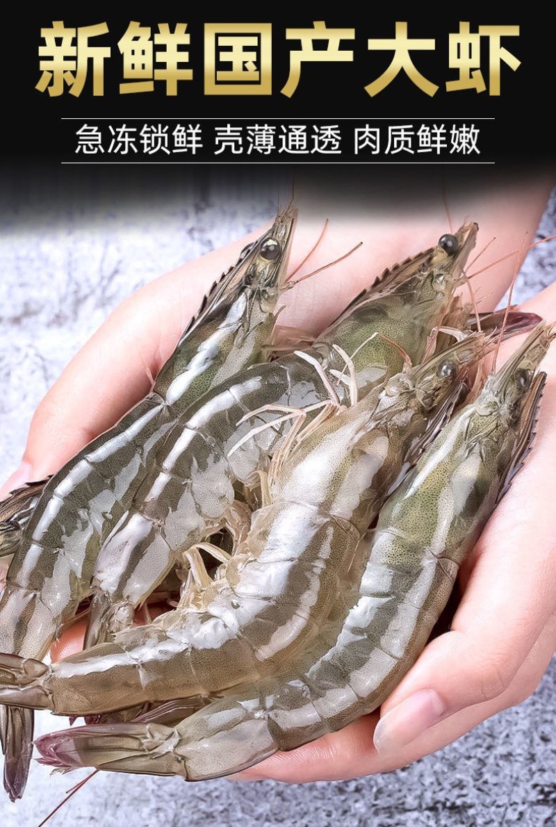 4斤水产海鲜大虾一箱鲜活新鲜海虾活体对虾基围虾白虾非青岛