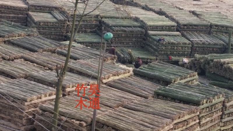菜架竹、竹竿、竹架条、金竹子