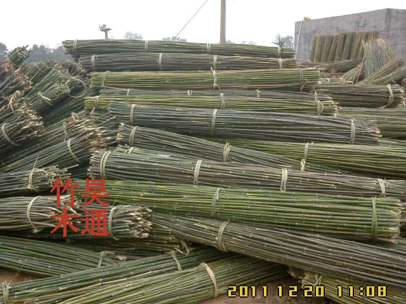 菜架竹、竹竿、竹架条、金竹子