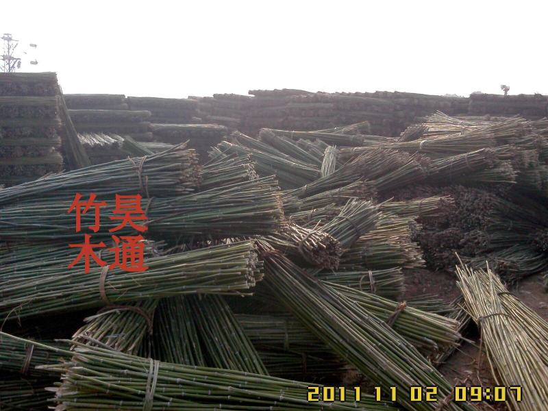 菜架竹、竹竿、竹架条、金竹子