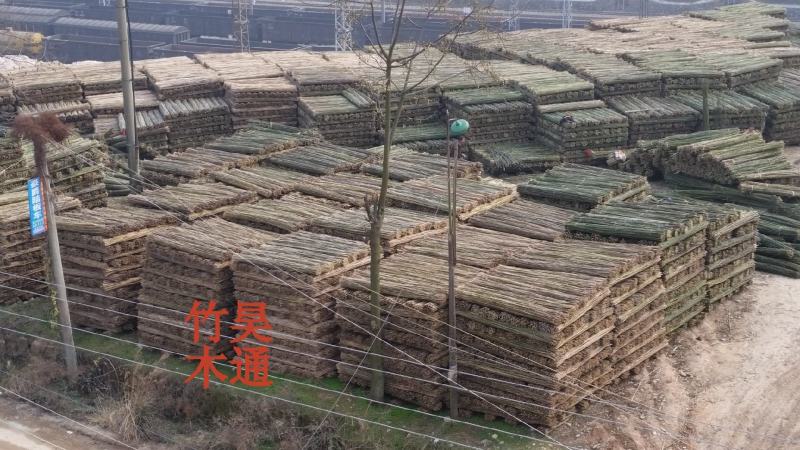 菜架竹、竹竿、竹架条、金竹子