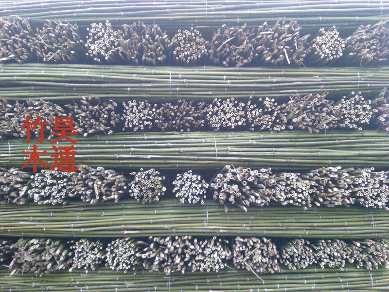 菜架竹、竹竿、竹架条、金竹子