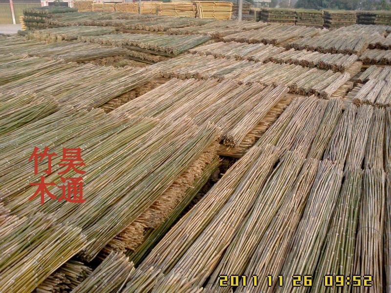 菜架竹、竹竿、竹架条、金竹子