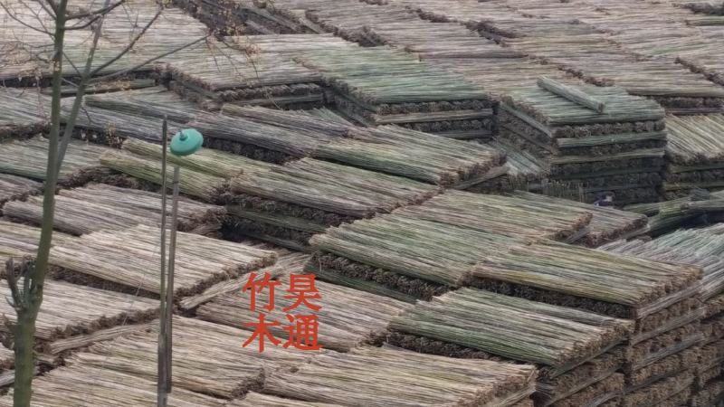 菜架竹、竹竿、竹架条、金竹子