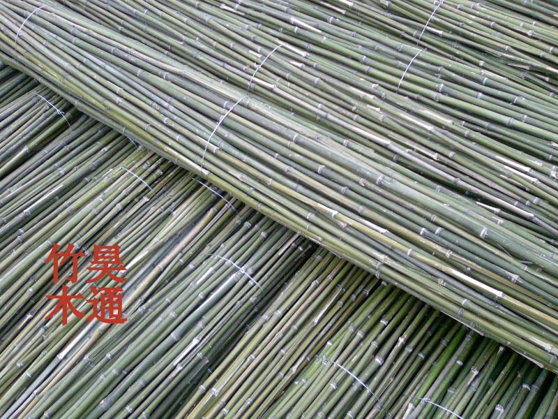 菜架竹、竹竿、竹架条、金竹子