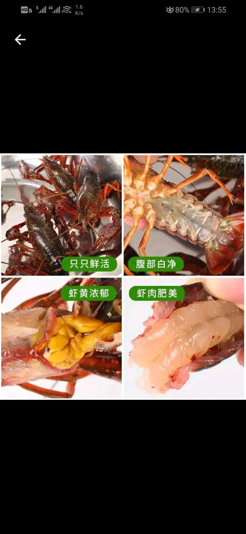 克氏原螯虾与成鱼混养5-7钱（25-35克）食用活虾