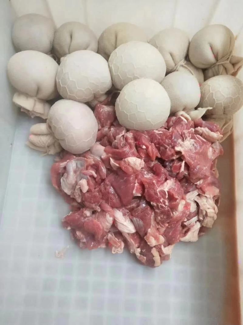 羊肚包脑羊肚包肉大量现货