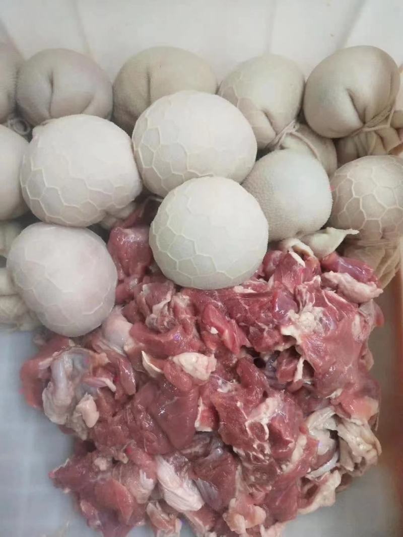 羊肚包脑羊肚包肉大量现货