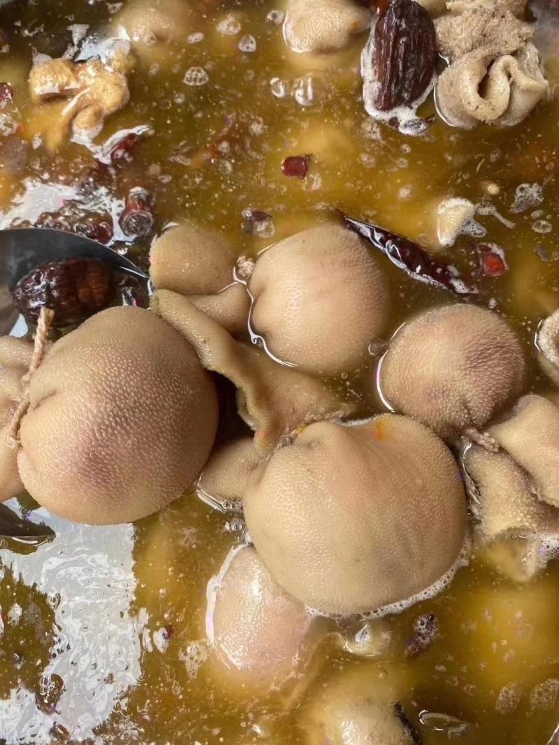 羊肚包脑羊肚包肉大量现货