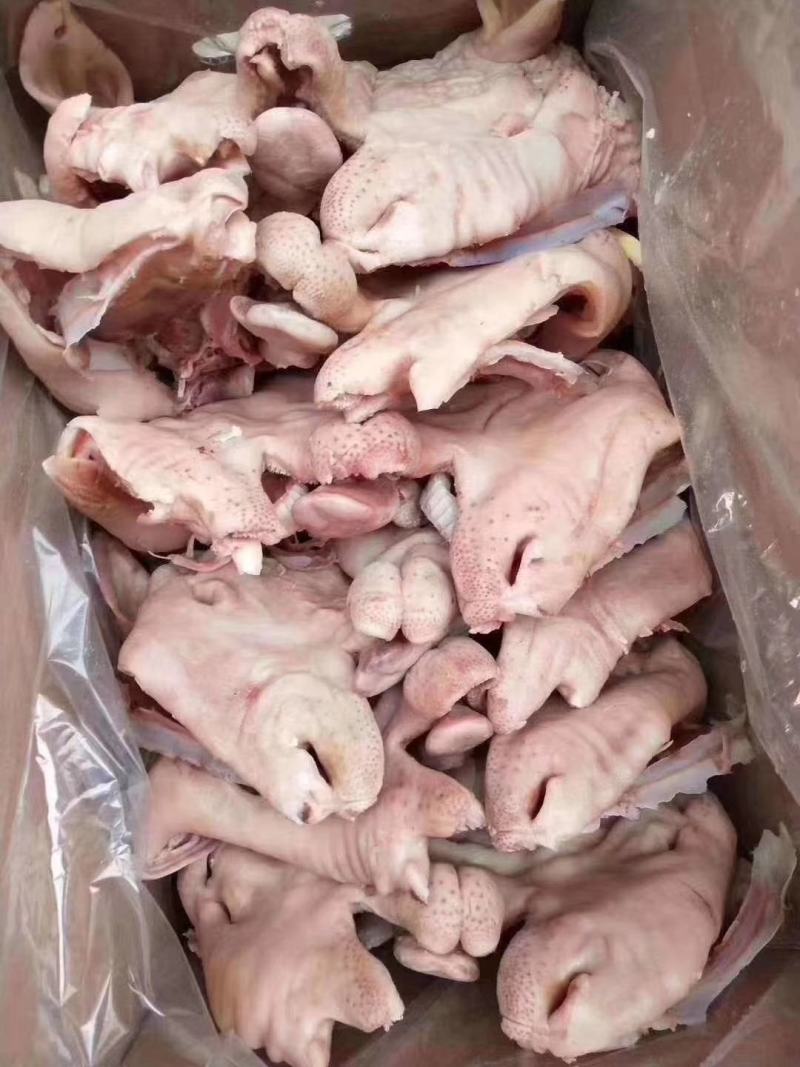 精品大白头净重二十斤