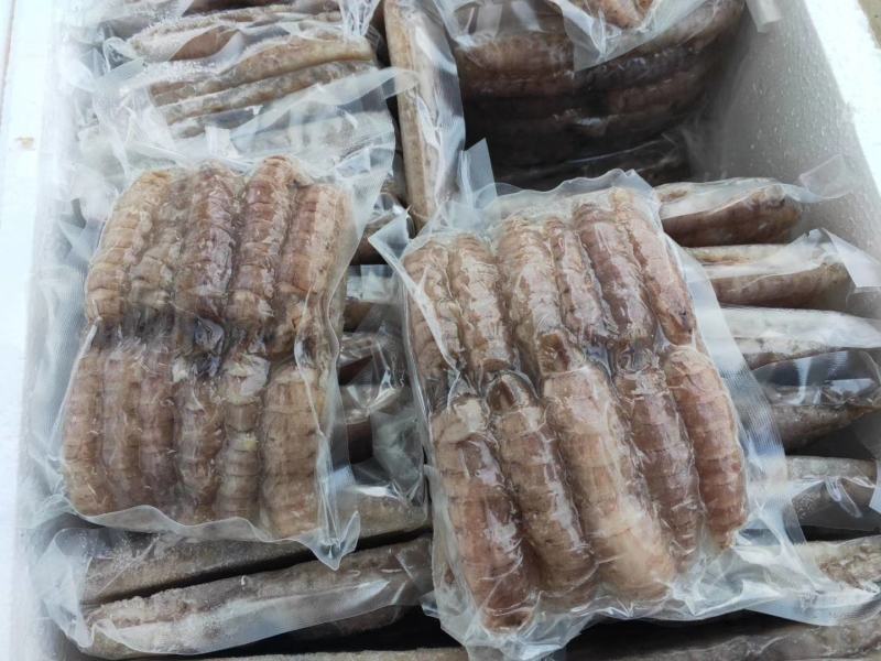 皮皮虾肉爬虾肉皮皮虾肉冷冻虾爬子濑尿虾虾姑肉琵琶