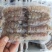 皮皮虾肉爬虾肉皮皮虾肉冷冻虾爬子濑尿虾虾姑肉琵琶