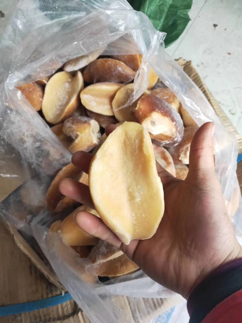 黄金鲍鱼澳鲍新鲜海鲜冷冻黄金大鲍鱼特大澳鲍