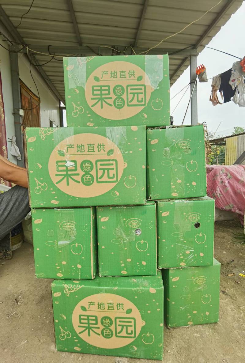 青皮皇冠梨（脆甜无渣）！大量批发，质量保证！量大从优！