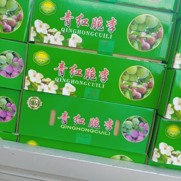 四川达州庙安脆红李口感脆甜，个头很大。现大量出售中