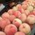 秦皇岛市卢龙县绿化九毛桃大量有货.颜色好，口感甜。