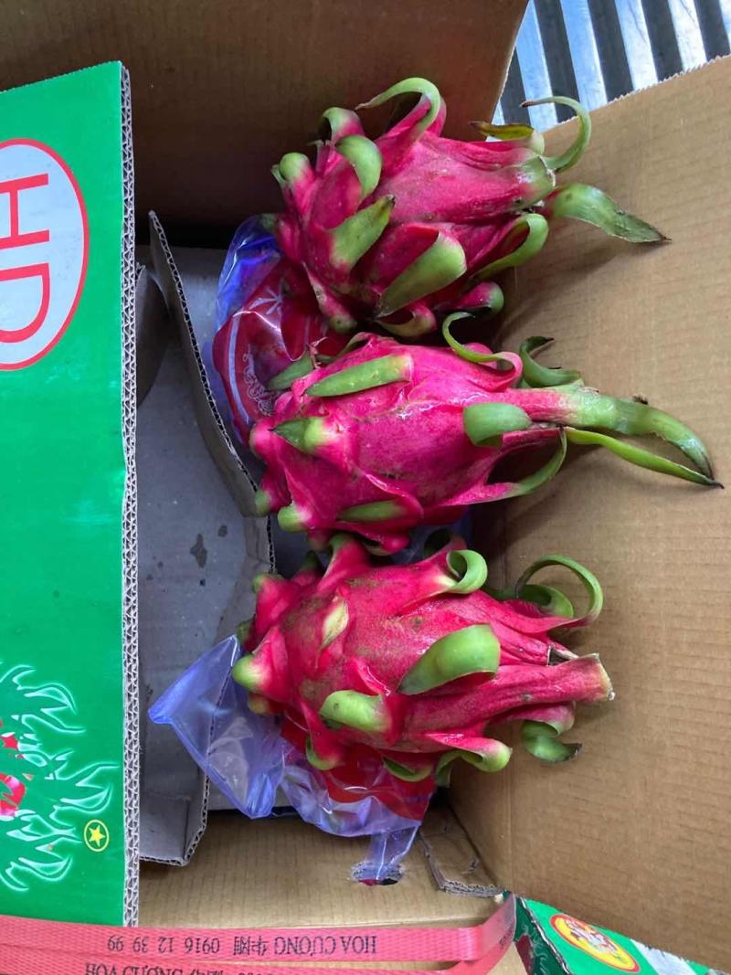 红心火龙果越南进口新鲜红心火龙果应季水果大量供应