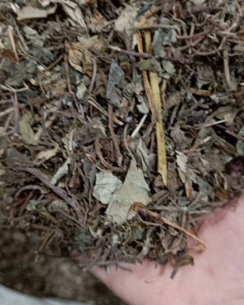 小叶金钱草，无杂质，