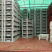 河北优质头茬巨峰葡萄，口感香甜，颗粒饱满色泽好上货快